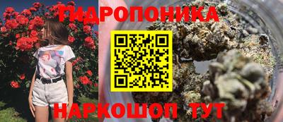 spice Славянск-на-Кубани
