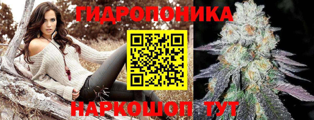 МАРИХУАНА OG Kush  МАРИХУАНА конопля  Вологда  Вход с VPN  Бошки марихуана Ganja 